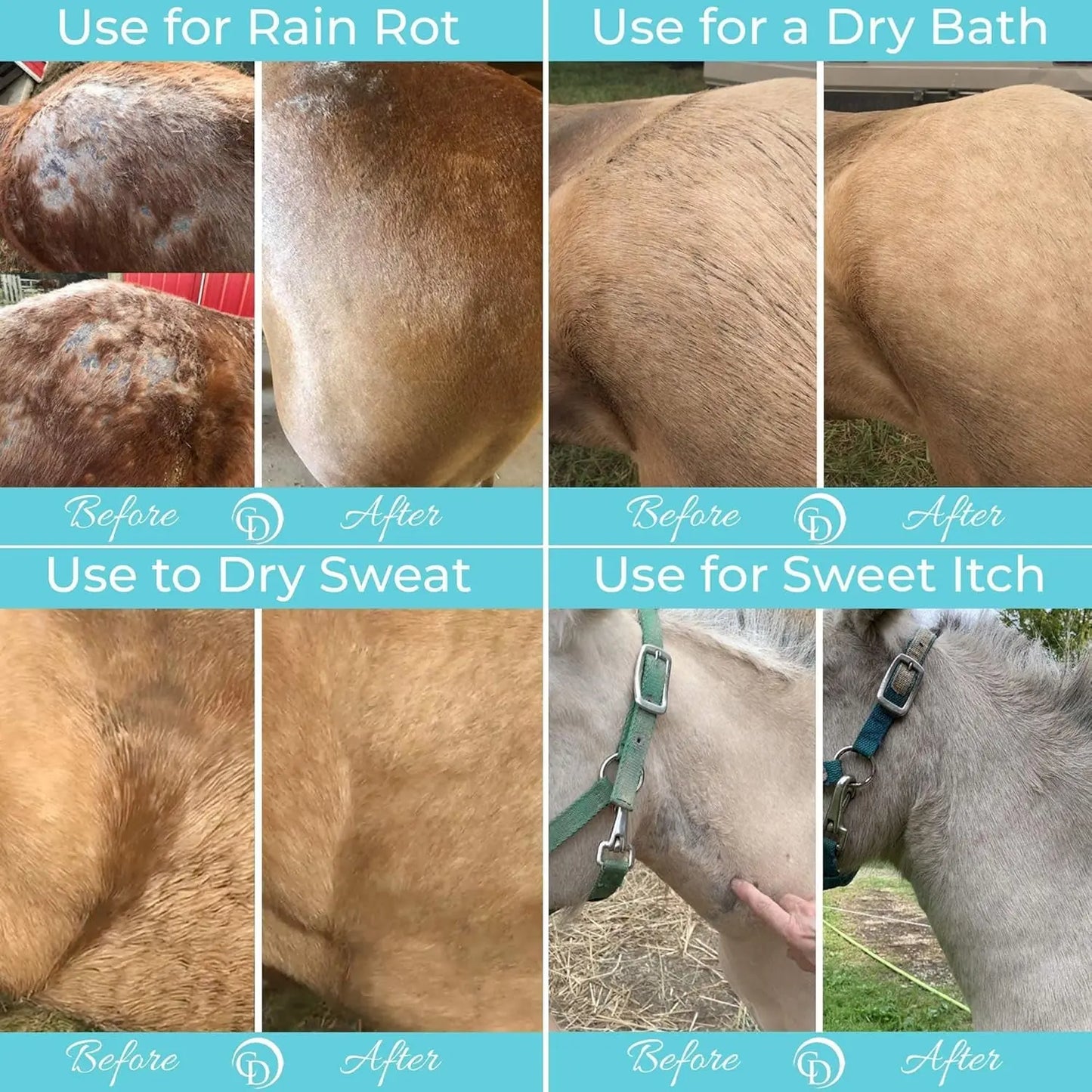 COAT DEFENSE Daily Grooming Powder for Horses | Natural Dry Shampoo | 64 Oz Formula for a Fresh and Healthy Coat Horsepowder, Inc.